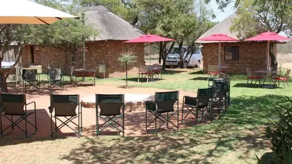 Tshikwalo Game Lodge | Gauteng - City of Tshwane - Johannesburg (ve civarı) - Hammanskraal