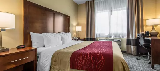 COMFORT INN WHEAT RIDGE | Kolorado - Denver (ve civarı) - Wheat Ridge