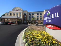 SpringHill Suites by Marriott Charleston North/Ashley Phosphate | Güney Karolayna - Charleston (ve civarı) - North Charleston