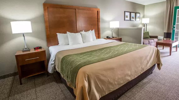 Comfort Inn & Suites at Dollywood Lane | Tennessee - Gatlinburg - Pigeon Forge (ve civarı) - Pigeon Forge