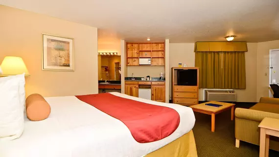 Best Western Horizon Inn | Oregon - Medford (ve civarı) - Medford