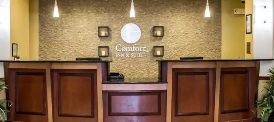 Comfort Inn & Suites Kent | Ohio - Summit İlçesi - Akron (ve civarı) - Kent