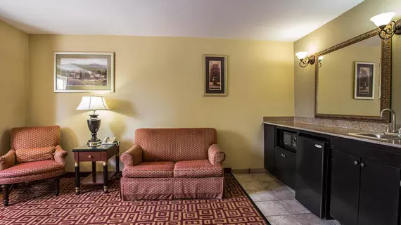 Econo Lodge Inn and Suites Greenville | Güney Karolayna - Greenville - Spartanburg (ve civarı) - Greenville