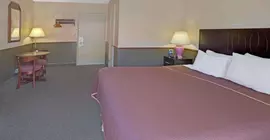 Travelodge Portland City Center | Oregon - Portland (ve civarı) - Portland