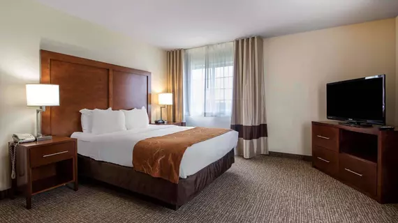 Comfort Suites Johnson Creek | Wisconsin - Fort Atkinson (ve civarı) - Johnson Creek