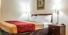 Econo Lodge Inn & Suites Columbia | Güney Karolayna - Columbia (ve civarı) - Columbia