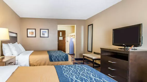 Comfort Inn Independence | Ohio - Cleveland (ve civarı) - Independence