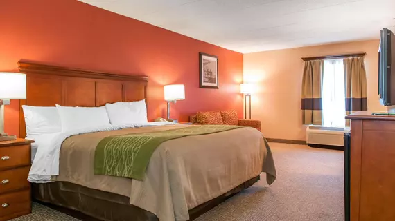 COMFORT INN OXFORD | Ohio - Cincinnati (ve civarı) - Oxford