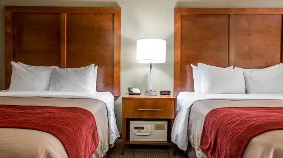 Comfort Inn & Suites at Dollywood Lane | Tennessee - Gatlinburg - Pigeon Forge (ve civarı) - Pigeon Forge