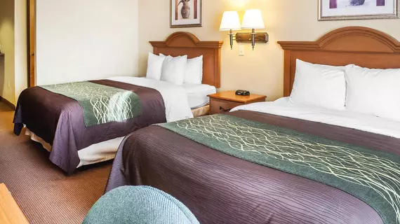 COMFORT INN & SUITES | New Mexico - Las Cruces (ve civarı) - Las Cruces