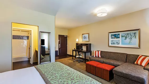 Staybridge Suites Fort Worth - Fossil Creek | Teksas - Fort Worth (ve civarı) - Fort Worth - Saginaw - Fossil Creek