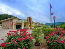 Red Roof Inn Chattanooga – Lookout Mountain | Tennessee - Chattanooga (ve civarı) - Chattanooga - Tiftonia