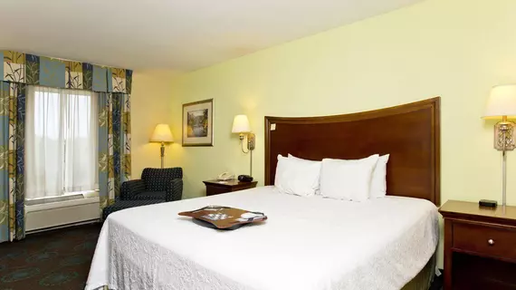 HAMPTON INN MARTINSBURG SOUTH-INWOOD | Batı Virginia - Martinsburg (ve civarı) - Inwood