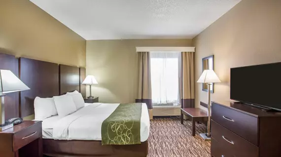 Comfort Suites Lebanon | Tennessee - Nashville-Davidson - Nashville (ve civarı) - Lebanon