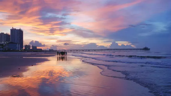 Wyndham SeaWatch Plantation | Güney Karolayna - Myrtle Plajı (ve civarı) - Myrtle Beach