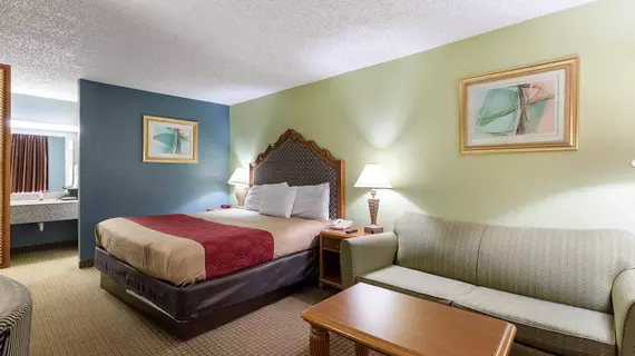 Econo Lodge Conroe | Teksas - Conroe (ve civarı) - Conroe