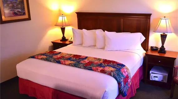 Best Western Plus Grand Strand Inn and Suites | Güney Karolayna - Myrtle Plajı (ve civarı) - Myrtle Beach