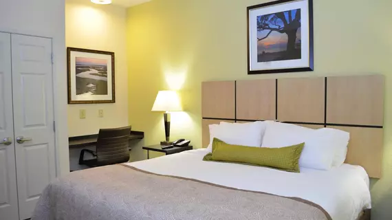 Candlewood Suites Greenville | Güney Karolayna - Greenville - Spartanburg (ve civarı) - Greenville