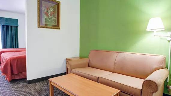 Quality Inn & Suites Austin Airport | Teksas - Austin (ve civarı) - Del Valle