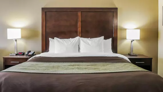 Comfort Inn & Suites Artesia | New Mexico - Carlsbad (ve civarı) - Artesia