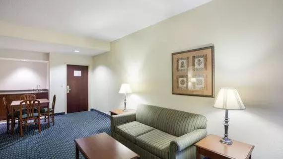 Comfort Inn & Suites San Antonio Airport | Teksas - San Antonio (ve civarı) - San Antonio - Kuzey San Antonio - SAT Havalimanı