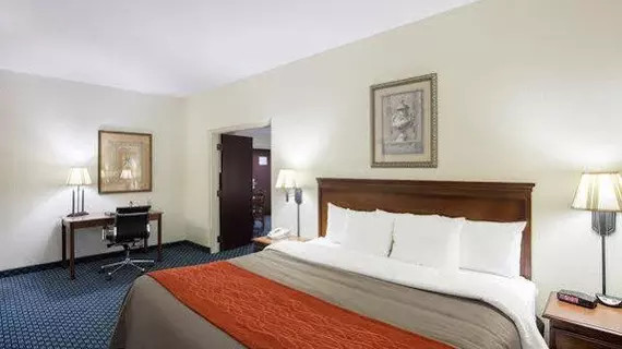 Comfort Inn & Suites San Antonio Airport | Teksas - San Antonio (ve civarı) - San Antonio - Kuzey San Antonio - SAT Havalimanı