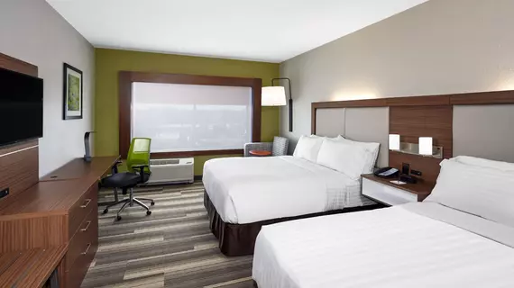 HOLIDAY INN EXPRESS & SUITES CHICAGO NORTH SHORE - NILES | İllinois - Niles