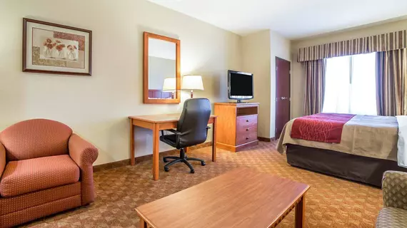 COMFORT INN & SUITES | Nevada - Clark County - Las Vegas (ve civarı) - Las Vegas