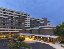 Sheraton Norfolk Waterside Hotel | Virginia - Norfolk - Virginia Beach (ve civarı) - Norfolk