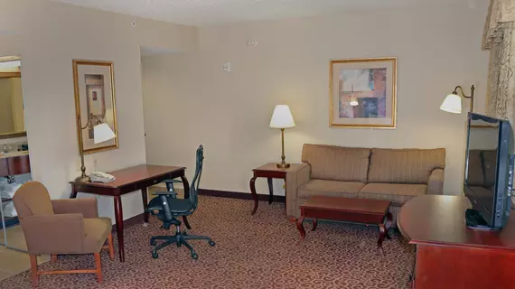 Hampton Inn & Suites Norfolk-Airport | Virginia - Norfolk - Virginia Beach (ve civarı) - Norfolk