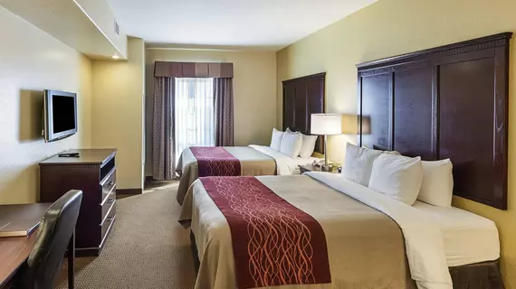 Comfort Inn Near SeaWorld | Teksas - San Antonio (ve civarı) - San Antonio - Batı San Antonio