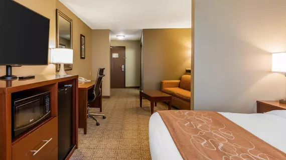 Comfort Suites Jonesboro | Arkansas - Jonesboro (ve civarı) - Jonesboro