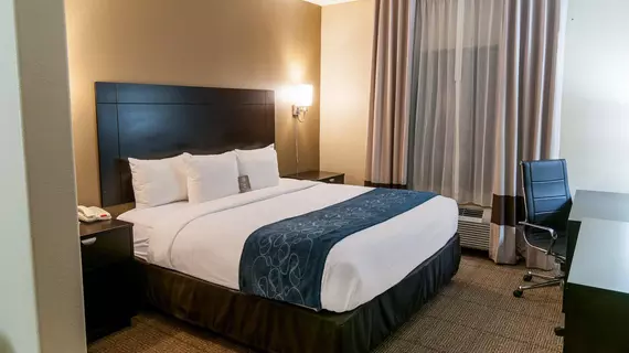 Comfort Suites Hobby Airport Houston | Teksas - Houston (ve civarı) - Houston