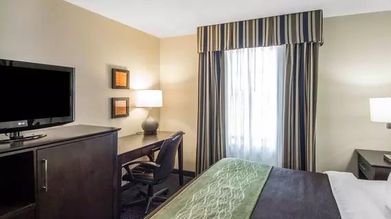 Comfort Inn Tulsa - Downtown West | Oklahoma - Tulsa (ve civarı) - Tulsa