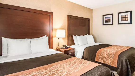 Comfort Inn & Suites Vancouver | Washington - Vancouver (ve civarı) - Vancouver - Downtown Vancouver