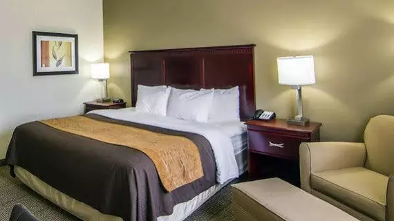 Comfort Inn & Suites Market Center | Teksas - Dallas (ve civarı) - Dallas