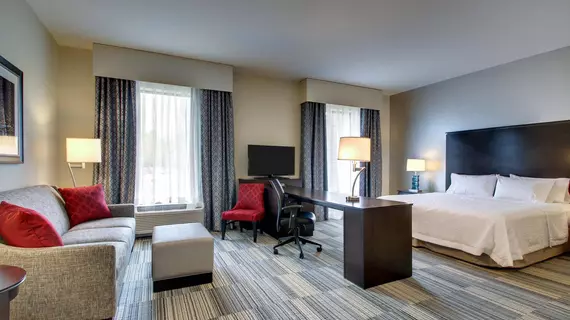 Hampton Inn & Suites Greenville Airport | Güney Karolayna - Greenville - Spartanburg (ve civarı) - Greenville