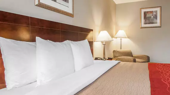 Comfort Inn Toms River | New Jersey - Lacey Township - Point Pleasant - Toms River (ve civarı) - Toms River