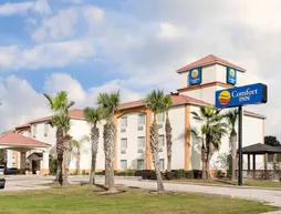 Comfort Inn Broussard | Louisiana - Lafayette (ve civarı) - Broussard