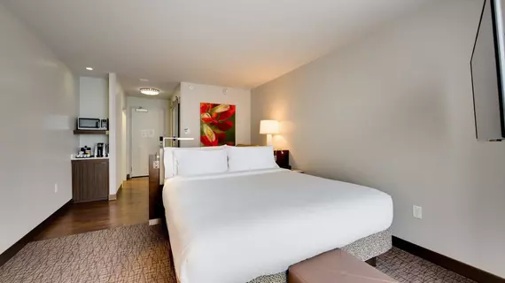 Hilton Garden Inn North Houston Spring | Teksas - Houston (ve civarı) - Spring