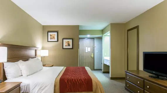 Comfort Inn Marshall Station | Missouri - Higginsville (ve civarı) - Marshall