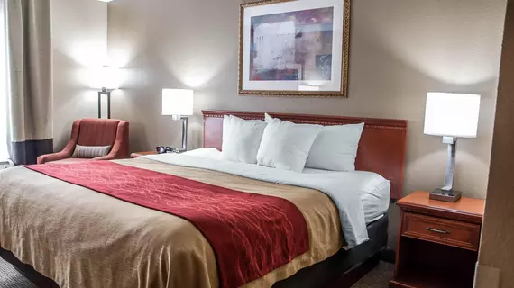 Comfort Inn Near Six Flags St. Louis | Missouri - St. Louis (ve civarı) - Pacific