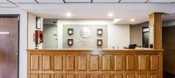 Comfort Inn Ozark | Missouri - Springfield (ve civarı) - Ozark