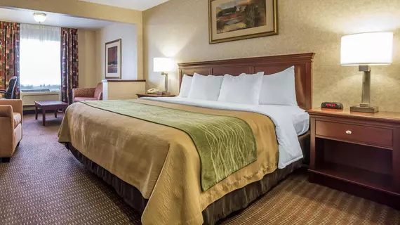 Comfort Inn Kennewick | Washington - Tri-Cities (ve civarı) - Kennewick