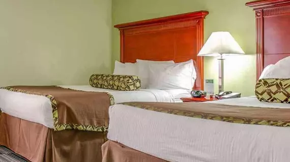 Alexis Inn and Suites Hotel | Tennessee - Nashville-Davidson - Nashville (ve civarı) - Nashville