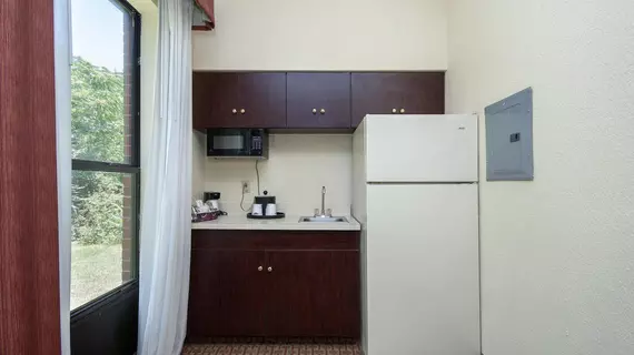 Hampton Inn Greenville/Travelers Rest | Güney Karolayna - Greenville - Spartanburg (ve civarı) - Travelers Rest