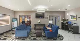 Comfort Suites Vista Ridge Mall | Teksas - Dallas (ve civarı) - Lewisville