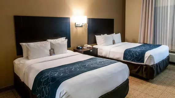 Comfort Suites Hobby Airport Houston | Teksas - Houston (ve civarı) - Houston