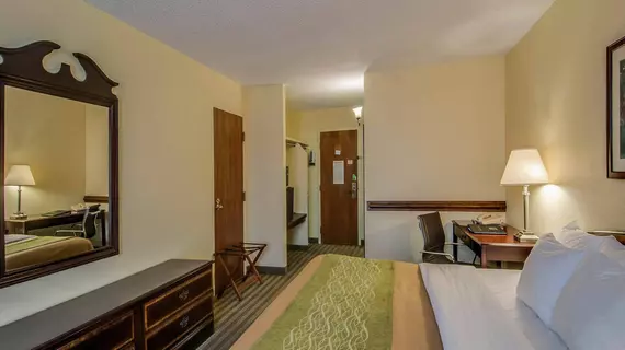 Comfort Inn Staunton | Virginia - Staunton (ve civarı) - Staunton