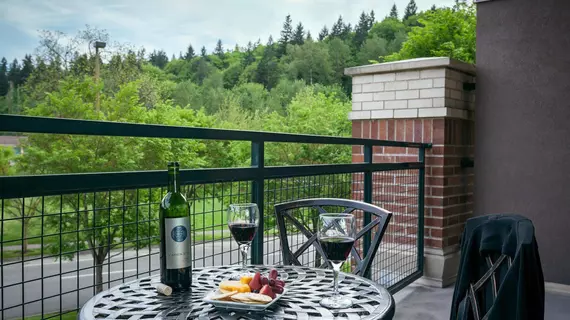 Hilton Garden Inn Seattle/Issaquah | Washington - Seattle (ve dolayları) - Issaquah